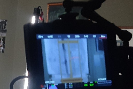 Portrait and documentary films